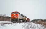 CN 2645 at Port Pic